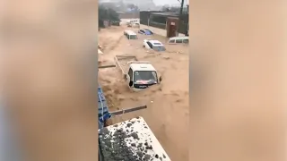 Cities hit hard by torrential rain in central China's Henan