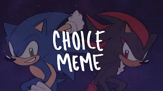 Sonic The Hedgehog || Choice Animation Meme