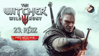 The Witcher 3 (PC - Steam - Next-Gen - MAGYAR FELIRAT - Hard) #23