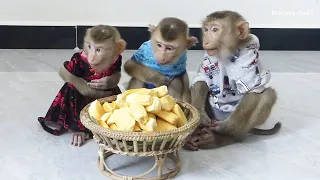 Three Little Donal Moly & Zuji Sit Orderly Waiting To Eat Jackfruits