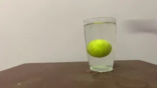 Lemon 🍋 in salt water experiment density experiment