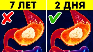 29 мифов, в которые верят даже ваши родители