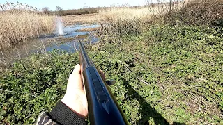 Hunting ducks with shotgun - solo hunting