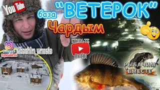 База "ВЕТЕРОК", Замечательный отдых на берегу Волги.