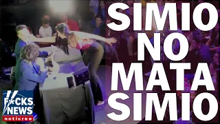 F*cksNews en Vivo: Simio No Mata Simio