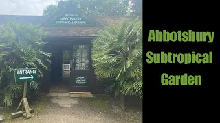 Tour of One of the best U.K. Tropical Gardens. Abbotsbury Subtropical Garden.