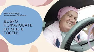 488. Это моя рассада, если вам интересно смотрите...