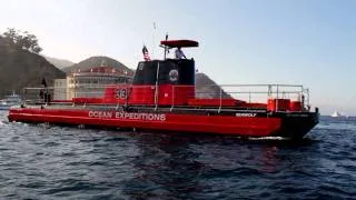 Undersea Expedition | Visit Catalina Island