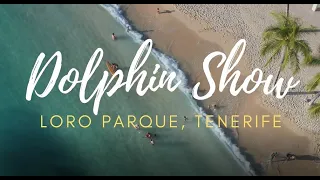 THE BEST DOLPHIN SHOW IN LORO PARQUE ( LORO PARK ) TENERIFE , CANARY ISLAND, SPAIN