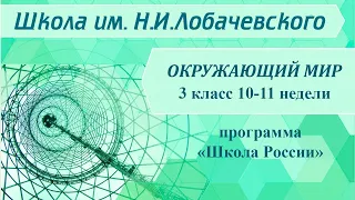 Окружающий мир 3 класс 10-11 недели. Разнообразие растений. Охрана растений