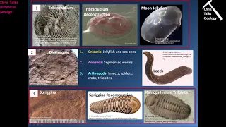 Precambrian Earth and Life History The Proterozoic Eon Part 2 - Part 3