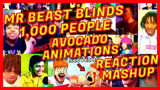 MR BEAST BLINDS 1,000 PEOPLE - REACTION MASHUP - AVOCADO ANIMATIONS - MRBEAST 1000 [ACTION REACTION]