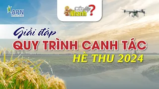 APN - GIẢI ĐÁP ỨNG DỤNG QUY TRÌNH CANH TÁC LÚA TIẾT KIỆM HÈ THU 2024