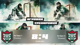 Ак Барс 1 (Казань) 8:4 ак Барс 2 (Казань) 2013 г.р.