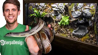 15 Year Old Snake Needed a New Home - Dean's Story