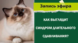 Как выглядит синдром длительного сдавливания