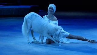 YANA SHANIKOV AND HER MINI HORSES IN THE SPECTACLE "THING SLEEP" 2016-17