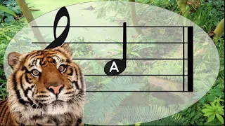 Note Names Challenge (Jungle)