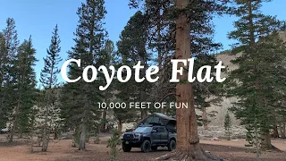 Tacoma Life - Coyote Flat