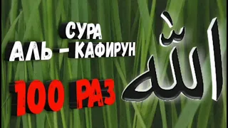 Сура Аль Кяфирун 100 раз чтец Мишари Рашид