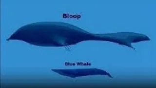 the bloop