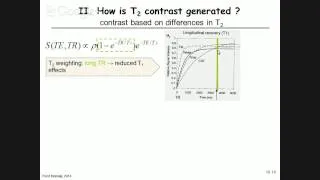 12.2 - Spin Echo sequence / MRI contrast agents