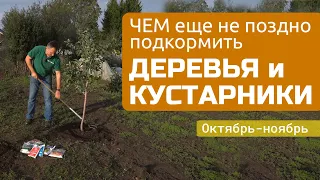 Идеальная зимовка плодовых и кустарников