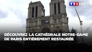 Découvrez la cathédrale Notre-Dame de Paris entièrement restaurée