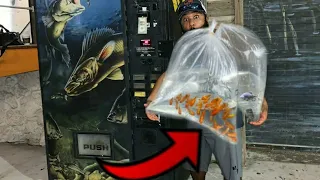 VENDING MACHINE Sells LIVE FISH!