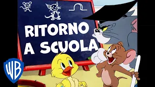 Tom & Jerry in italiano 🇮🇹 | Ritorno a Scuola con il Vostro Duo Preferito | WB Kids
