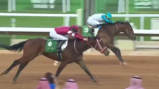 Forever Young Wins The Saudi Derby, Remains Unbeaten - Unofficial Derby Prep -  2/24/24