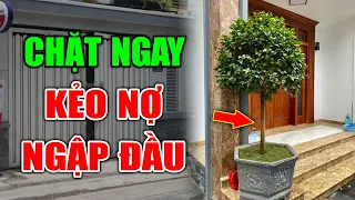 Cổ Nhân Dạy: 6 Loại Cây Dù Thích Đến Mấy Cũng Cấm Trồng Trước Cửa Nhà Kẻo Tán Gia Bại Sản