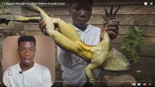 Top 15 Biggest Animals You Won't Believe Actually Exist