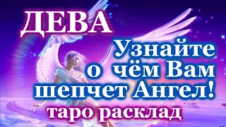 ДЕВА 💌 О ЧЕМ ПРЕДУПРЕЖДАЕТ ВАШ АНГЕЛ-ХРАНИТЕЛЬ 💌 ЭТО ВАЖНО ЗНАТЬ! 💖 ТАРО ПРОГНОЗ ГАДАНИЕ ГОРОСКОП