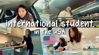 🇺🇸 Living Alone in the USA | Week in my Life: International Student