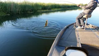 Summer bassin' on the CA delta