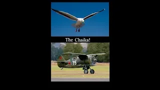 War Thunder: Subscriber Request, I-153 Chaika, This Seagull Bites Hard!