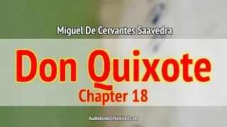 Don Quixote Audiobook Chapter 18