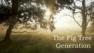 The Fig Tree Generation Timeline Theory