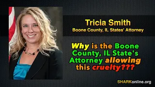 Illinois Prosecutor Protects Animal Abusers