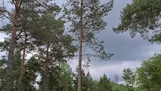 TEADVUSE TASANDID KAKSIKHINGE/ ÜLESTÕUSU TEEL ÜHTE.