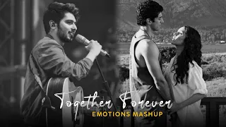 Together Forever Mashup | Chillout Mix | Chale Jana Phir | Meri Aashiqui | Animesh Lofi