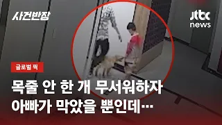 목줄도 안 한 개 밀었더니…"내 강아지 왜 건드려!" 무차별 폭행 / JTBC 사건반장