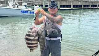 Birthday weekend fishing! #sheepsheadfishing #blackdrum #flounder #kayakfishing #fishing