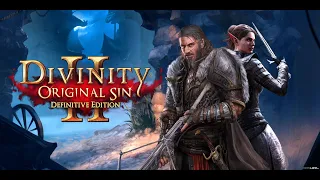 #4 Divinity: Original Sin 2 / Форт радость / Прохождение