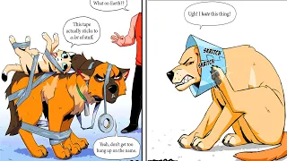 Hilarious Comics With Animals Twist #2 || Dubmic