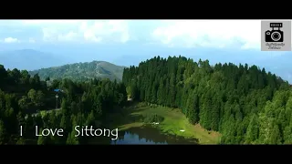 sittong