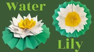 How to make Origami Water Lily | Paper Water Lily | Origami Water Lily | DIY | Water Flower |