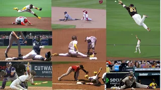 MLB  Fernando Tatis Jr  BEST PLAYS