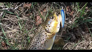 How to catch Trout on Jerkbaits | Provo River, Utah
